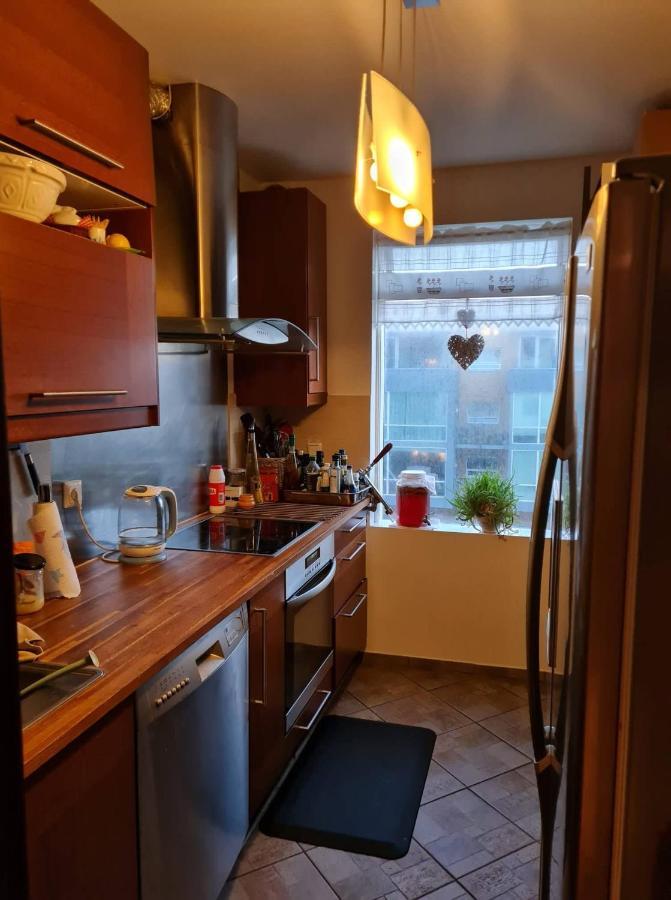 Cozy Stay In Downtown ريكيافيك المظهر الخارجي الصورة